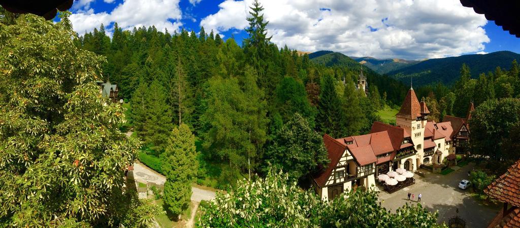 Complex La Tunuri - Vila Economat Sinaia Buitenkant foto